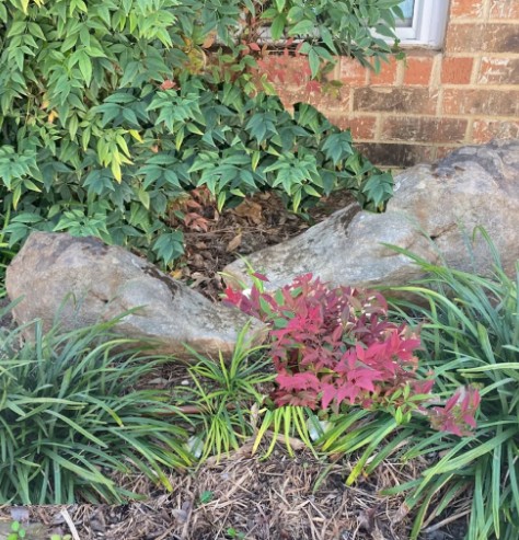 Commercial Hardscaping Services